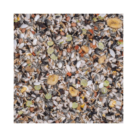 DN 24 - PARROTS CAATINGA 15 KG / PAPUGA DUŻA ARA