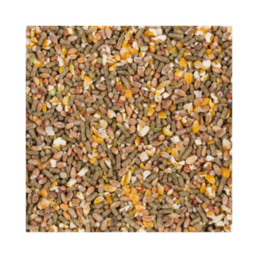 DN CHIX LAYING MIX 20KG / KURY MAŁE RASY MIESZANKA ZIAREN ZWIĘKSZAJĄCA NIEŚNOŚĆ