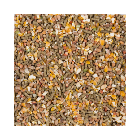 DN CHIX LAYING MIX 20KG / KURY MAŁE RASY MIESZANKA ZIAREN ZWIĘKSZAJĄCA NIEŚNOŚĆ