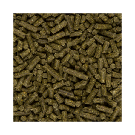 DN GALLIX AUSTRI MAINTENANCE PELLET 20KG / GRANULAT BYTOWY STRUŚ