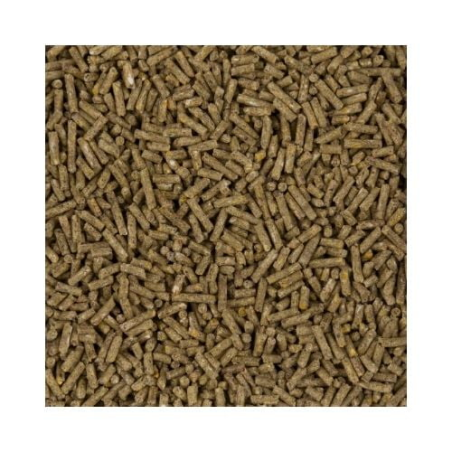 DN GUINIX ELITE EXTRA VITAMIN C PELLET 20KG / GRANULAT DLA ŚWINEK MORSKICH Z WIT. C