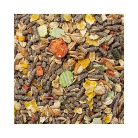 DN SPECIALTIX PET PIG MUESLI 20KG / DLA ŚWIŃ MINIAT.I WIETNAMSKICH