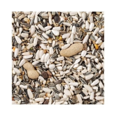 DN 60 - PARROTS BASIC 15KG / PAPUGA DUŻA Z ORZECHAMI PODSTAWOWA