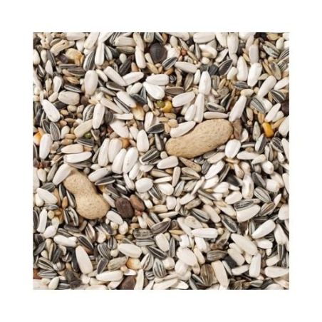 DN 60 - PARROTS BASIC 15KG / PAPUGA DUŻA Z ORZECHAMI PODSTAWOWA