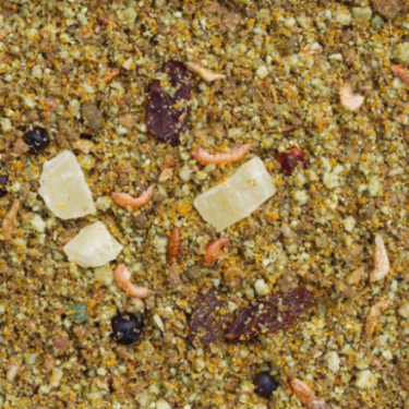 DN FRUIT PATE 10KG / OWOCOŻERNE Z KREWETKAMI (SZPAK,SÓJKA,TUKAN,LORYSA)