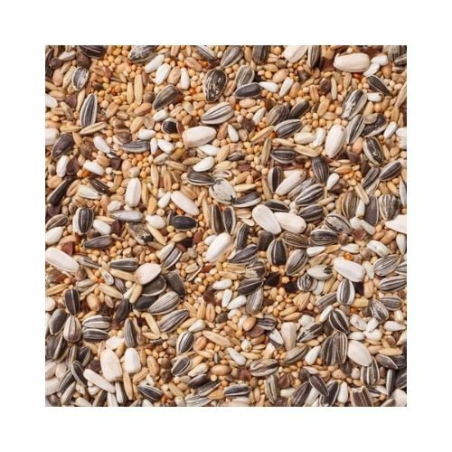 DN 30 - LARGE PARAKEETS BASIC 20KG / PAPUGI ŚREDNIE PODSTAWOWA