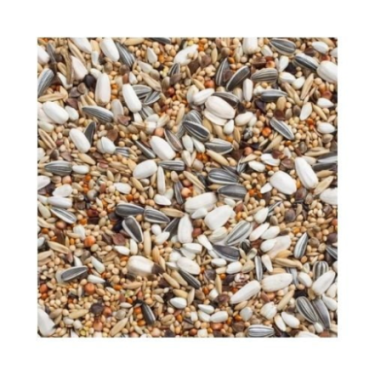 DN 69 - LARGE PARAKEETS WITH SUNFLOWER SEED 20KG / PAPUGA ŚREDNIA ZE SŁONECZNIKIEM