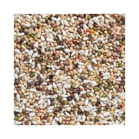 DN 33 - LARGRE PARAKEETS  PARROTS GERMINATION SEEDS 15KG / PAPUGI ŚREDNIE I DUŻE KIEŁKUJĄCA