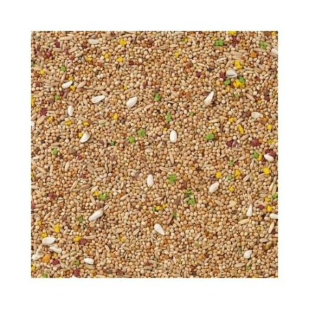 DN 11 - BUDGIES COLORMIX 20KG / PAPUGI FALISTE Z WITAMINAMI