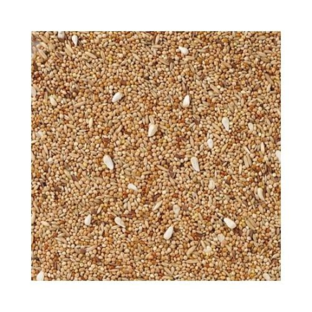 DN 36 - BUDGIES EXTRA Z KROKOSZEM BARWIERSKIM 20KG / PAPUGI FALISTE EXTRA Z KARDI