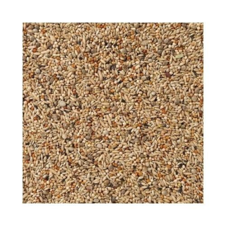 DN 67 - DANIEL LUTOLF BUDGIES SUPERCHAMP ORIGINAL 20KG / PAPUGI FALISTE HODOWLANA