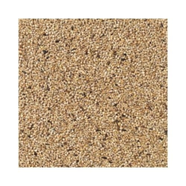 DN 85 - BUDGIES CHAMPION 20KG / PAPUGA FALISTA CHAMPION