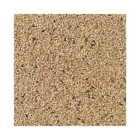 DN 85 - BUDGIES CHAMPION 20KG / PAPUGA FALISTA CHAMPION