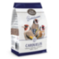 DN BIRDELICIOUS CARDUELIS 2KG(4) / SZCZYGIEŁ