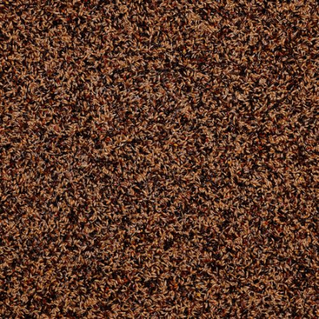 DN PREMIUM FOREIGN FINCHES 1KG(10) / EGZOTYKA