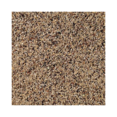 DN 49 - SISKINS 15KG / CZYŻE WSZYSTKIE GATUNKI