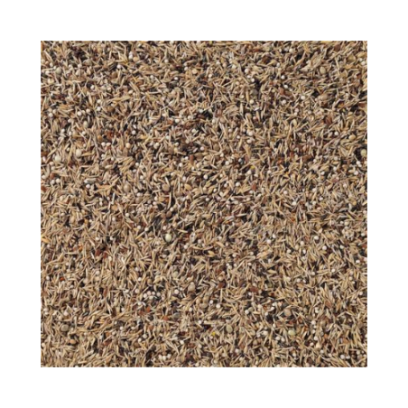 DN 49 - SISKINS 15KG / CZYŻE WSZYSTKIE GATUNKI