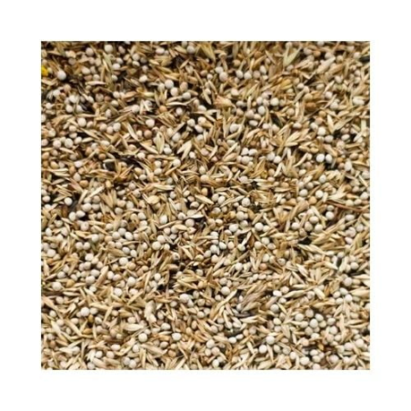 DN 98 - AMERICAN SISKINS 12,5KG / AMERYKAŃSKI CZYŻ