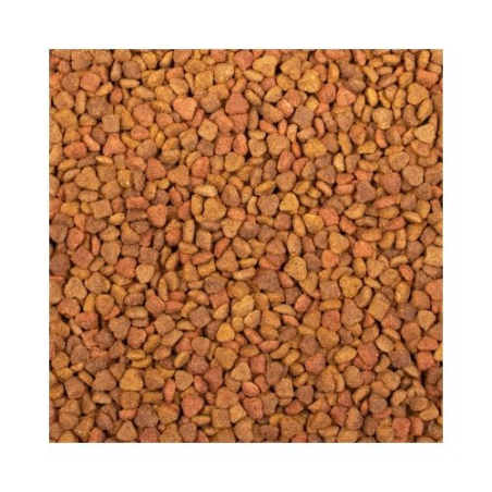 LADY CAT KARMA DLA KOTA MULTIMIX 12,5 KG