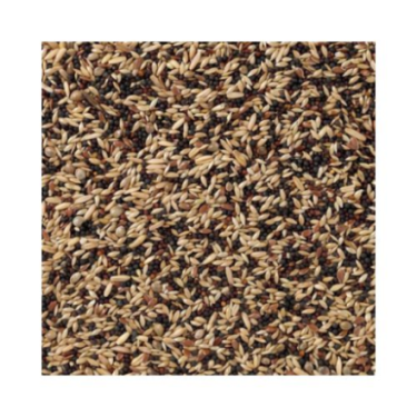 DN 50 - CANARIES BASIC 20KG / KANAREK PODSTAWOWA