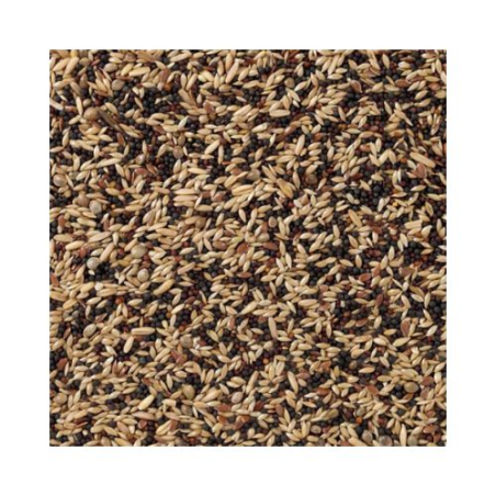 DN 50 - CANARIES BASIC 20KG / KANAREK PODSTAWOWA