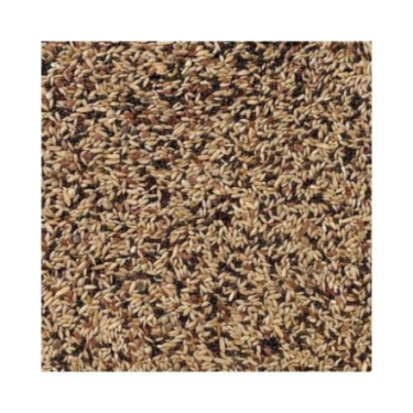 DN 53 - CANARIES EXTRA 20KG / KANAREK ŚPIEWAJĄCY EKSTRA (HARCEŃSKIE)