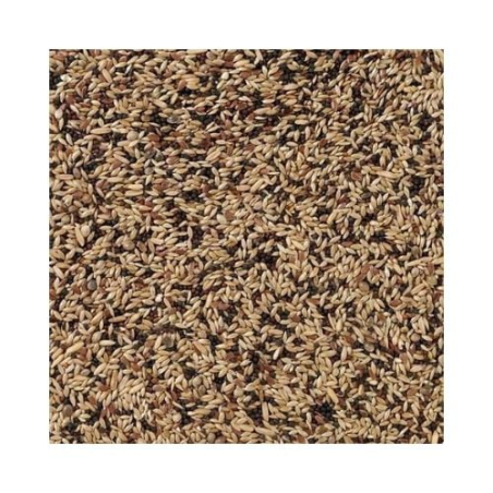 DN 53 - CANARIES EXTRA 20KG / KANAREK ŚPIEWAJĄCY EKSTRA (HARCEŃSKIE)