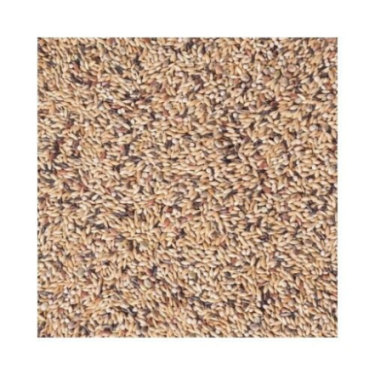 DN 54 - CANARIES BREEDING WITH WHITE PERILLA 20KG / KANAREK HODOWLANA Z BIAŁĄ PERILLĄ