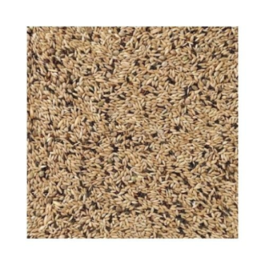 DN 65 - CANARIES LIGHT 20KG / KANAREK LEKKA