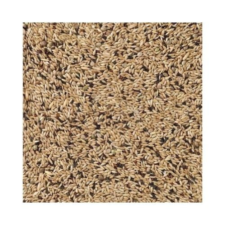 DN 65 - CANARIES LIGHT 20KG / KANAREK LEKKA