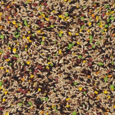 DN 77 - CANARIES COLORMIX 20KG / KANAREK Z WITAMINAMI (HERBATNIKI OWOCOWE)
