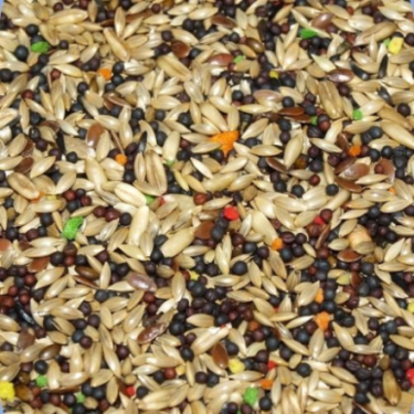 DN 77 - CANARIES COLORMIX 20KG / KANAREK Z WITAMINAMI (HERBATNIKI OWOCOWE)