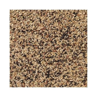 DN 80 - CANARIES BREEDING WITHOUT RAPESEED 20KG / KANAREK HODOWLANA BEZ RZEPIKU