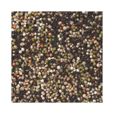 DN 82 - CANARIES GERMINATION SEEDS 20KG / KANAREK KIEŁKUJĄCA