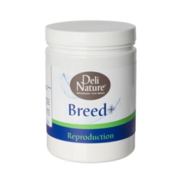 DN BREED + 500G(6) / AMINOKWASY, MINERAŁY, WITAMINY