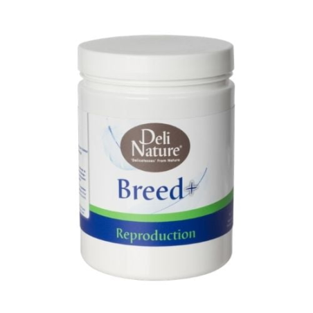 DN BREED + 500G(6) / AMINOKWASY, MINERAŁY, WITAMINY