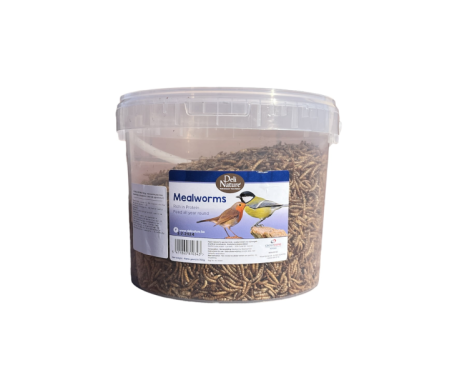 DN MEALWORMS 700G / LARWY MĄCZNIKA