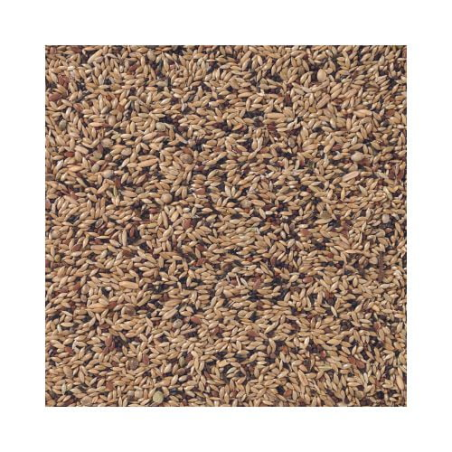 DN PREMIUM CANARIES 4KG(4) / KANAREK