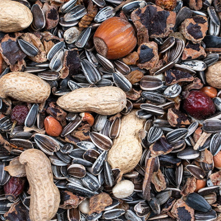 DN GREENLINE NUT MIX 500G(10) / GARDEN MIESZANKA DLA PTAKÓW I WIEWIÓREK