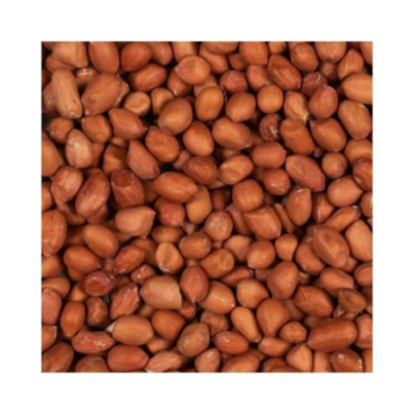 GREENLINE PEELED PEANUTS / Obrane orzeszki ziemne dla ptaków ogrodowych