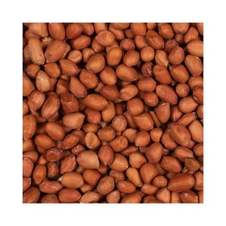 GREENLINE PEELED PEANUTS / Obrane orzeszki ziemne dla ptaków ogrodowych