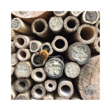 DN GREENLINE BEE HOUSE (6) / DOMEK DLA PSZCZÓŁ