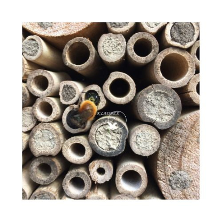 DN GREENLINE BEE HOUSE (6) / DOMEK DLA PSZCZÓŁ