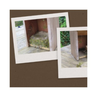 DN GREENLINE NESTING HOUSE (4) / DOMEK LĘGOWY Z DREWNA CEDROWEGO