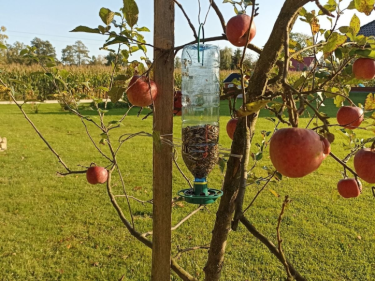 DN GREENLINE RECYCLE BOTTLE FEEDER (10) / KARMIK Z BUTELKI