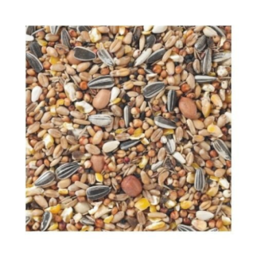 DN PREMIUM 35 - WILDBIRD YEAR MIX 20KG / MIESZANKA CAŁOROCZNA DLA PTAKÓW OGRODOWYCH