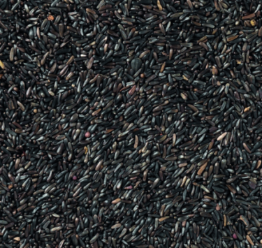 DN PREMIUM NIGERSEED 1KG(10) / MURZYNEK