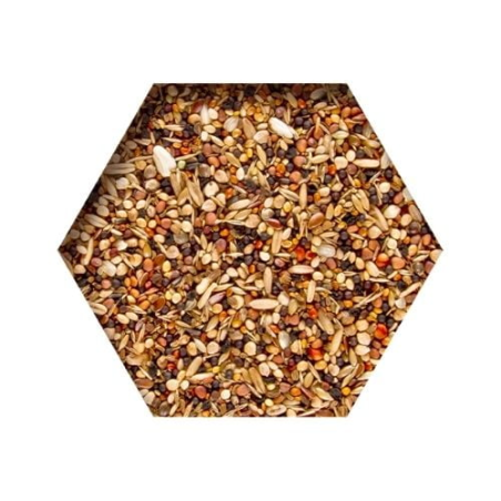 BEYERS MOULTING SUPPORT 2KG(6) / MIESZ. DZIKICH I OLEISTYCH NASION