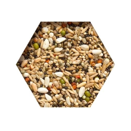 BEYERS TRAPPING MIX 2,5KG(6) / MIESZ. NASION OLEISYCH