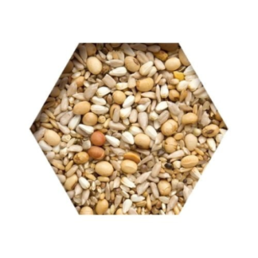 BEYERS PREMIUM SUPER ENERGY 2,5KG(6) / MIESZ. ENERGETYCZNA Z SOJĄ